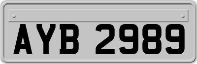 AYB2989