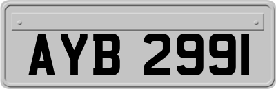 AYB2991