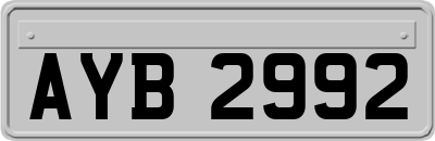 AYB2992
