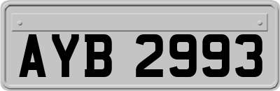 AYB2993