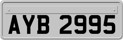 AYB2995