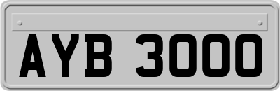 AYB3000