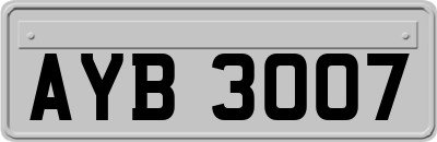 AYB3007