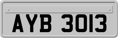AYB3013