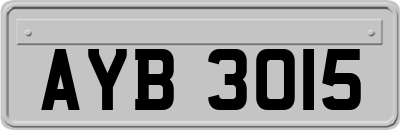 AYB3015