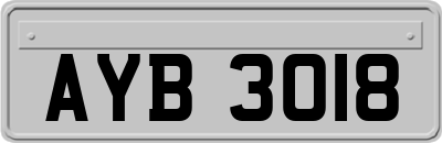 AYB3018
