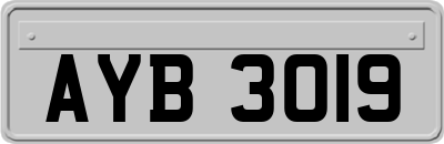 AYB3019