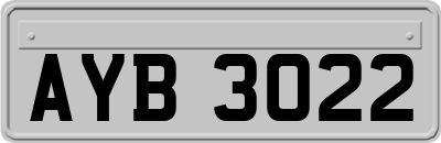 AYB3022