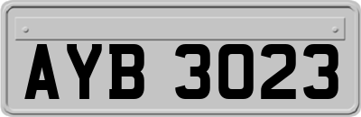 AYB3023