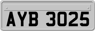 AYB3025