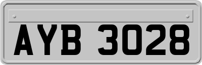 AYB3028