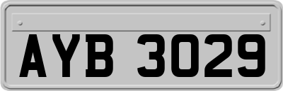 AYB3029