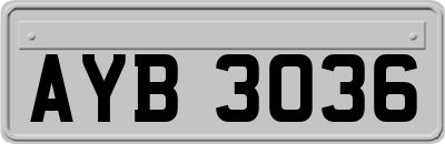 AYB3036