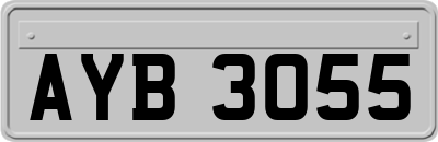AYB3055