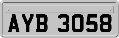 AYB3058