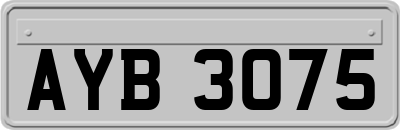 AYB3075