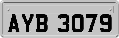 AYB3079