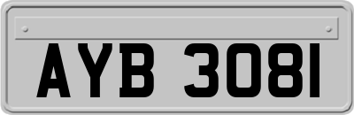 AYB3081