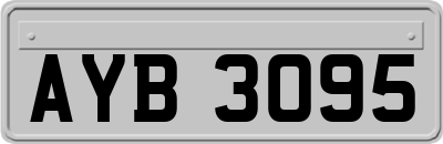 AYB3095