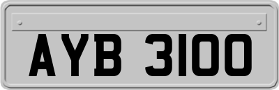 AYB3100