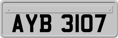 AYB3107