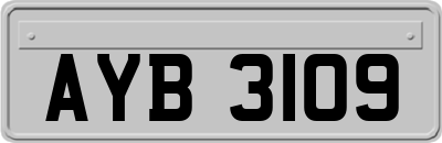 AYB3109