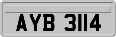 AYB3114