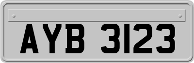 AYB3123
