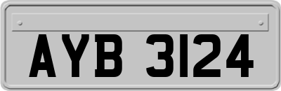 AYB3124