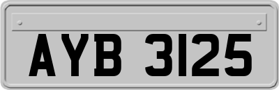 AYB3125