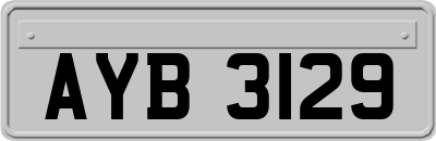 AYB3129