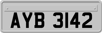AYB3142