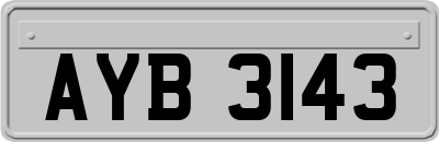 AYB3143
