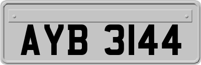 AYB3144