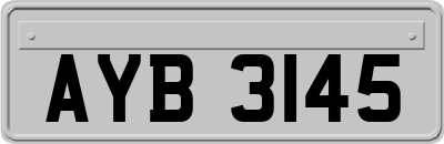 AYB3145