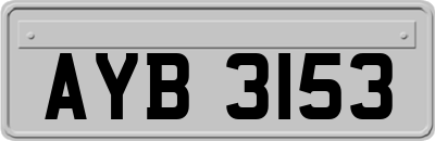 AYB3153