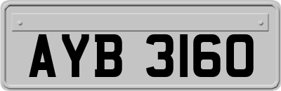 AYB3160