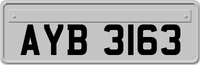 AYB3163