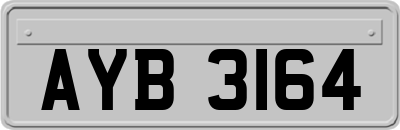 AYB3164