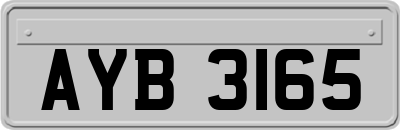 AYB3165