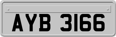AYB3166