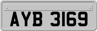 AYB3169