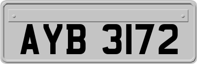 AYB3172