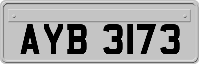 AYB3173