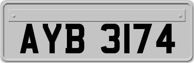 AYB3174