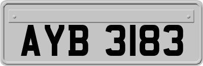 AYB3183