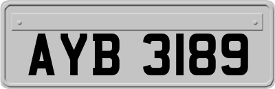 AYB3189