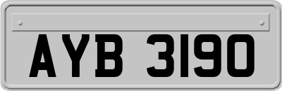 AYB3190