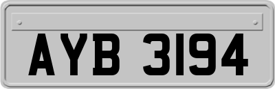 AYB3194