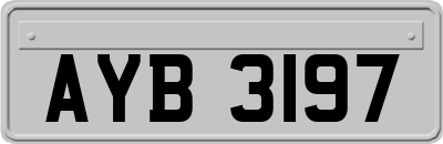 AYB3197